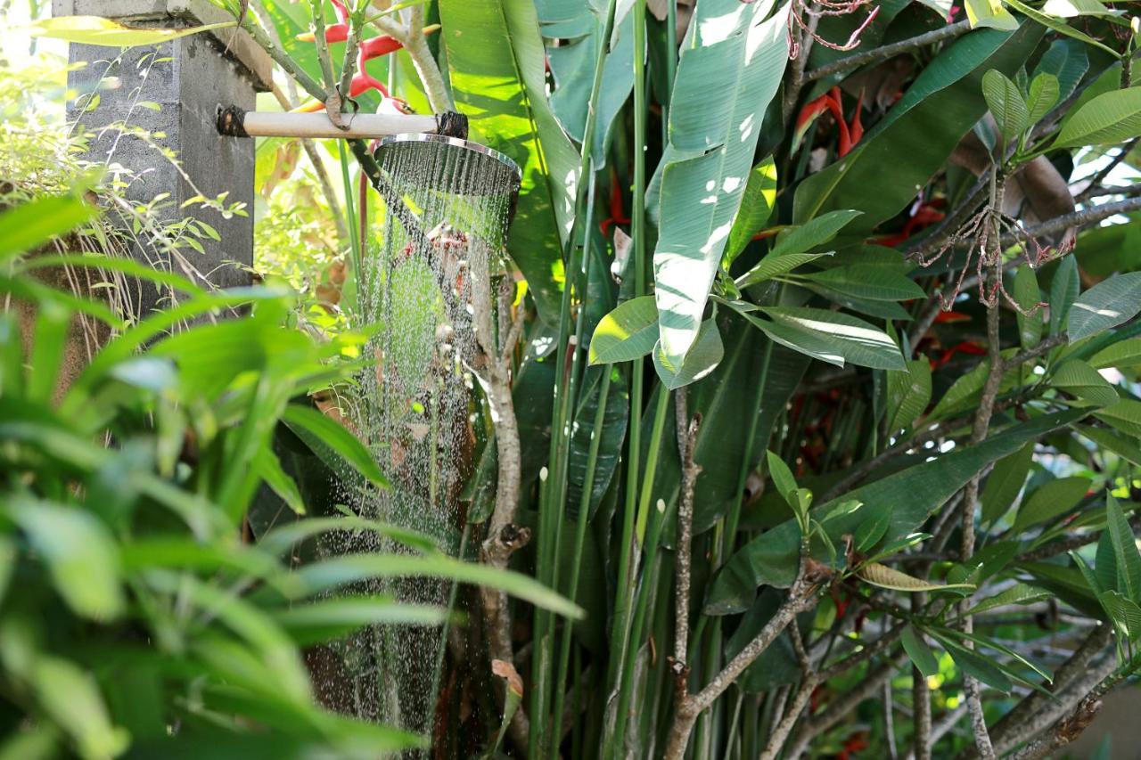 Three-Bedroom Pool Villa with Free Daily Activities